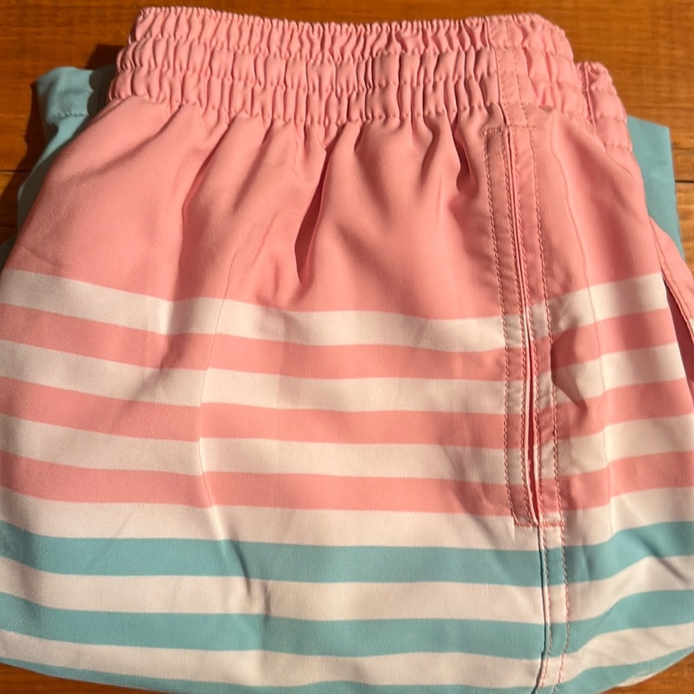 Chubbies Bathing Suit